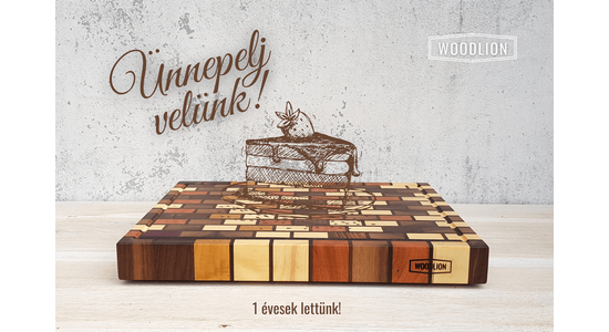 Blog#11 - Happy birthday, Woodlion!
